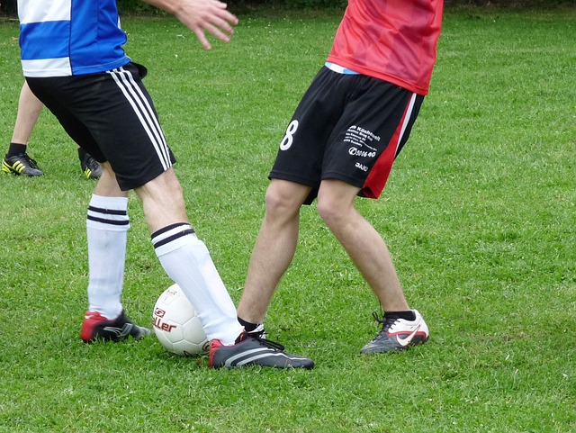 通过引入科 通过引入科