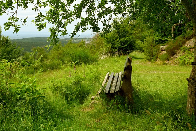 多特蒙德青訓總監強調未來足球：重要的不僅是技術 更是決策力.