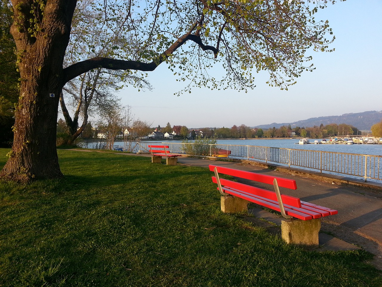 体重管理对 体重管理对