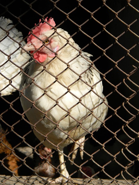 理上的准备 理上的准备