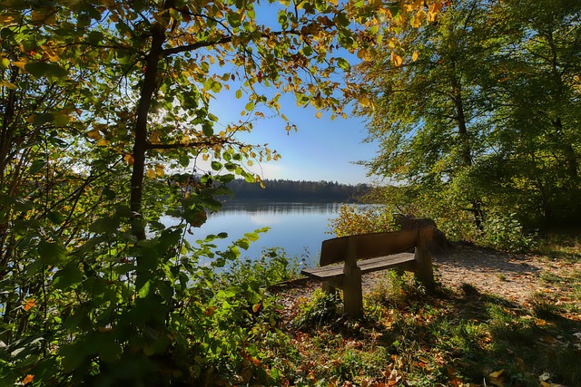 管理层决定 管理层决定