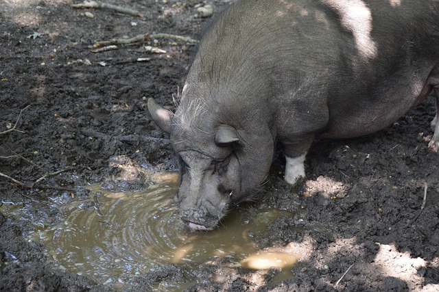 来的比赛中 来的比赛中