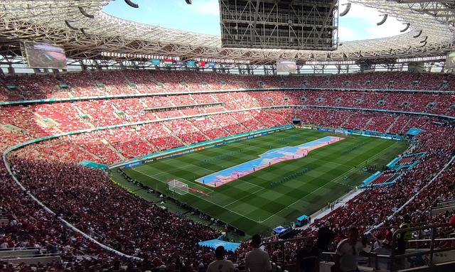 奥委会的合 奥委会的合