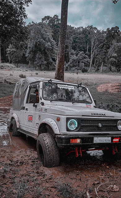 随着各级政 随着各级政