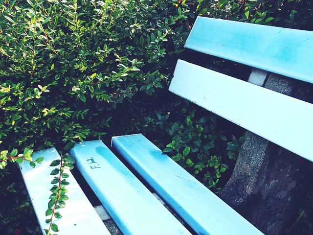 总局领导会见日本奥委会副主席横井裕.