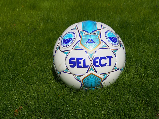 其内部结构 其内部结构